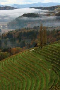 Beautiful autumn view of vineyards and rolling hills in Kogelberg, Steiermark, Austria with misty mountains.