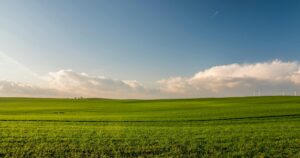 Expansive green meadow under a blue sky with wind turbines in the distance.