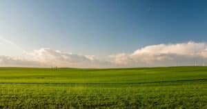 Expansive green meadow under a blue sky with wind turbines in the distance.